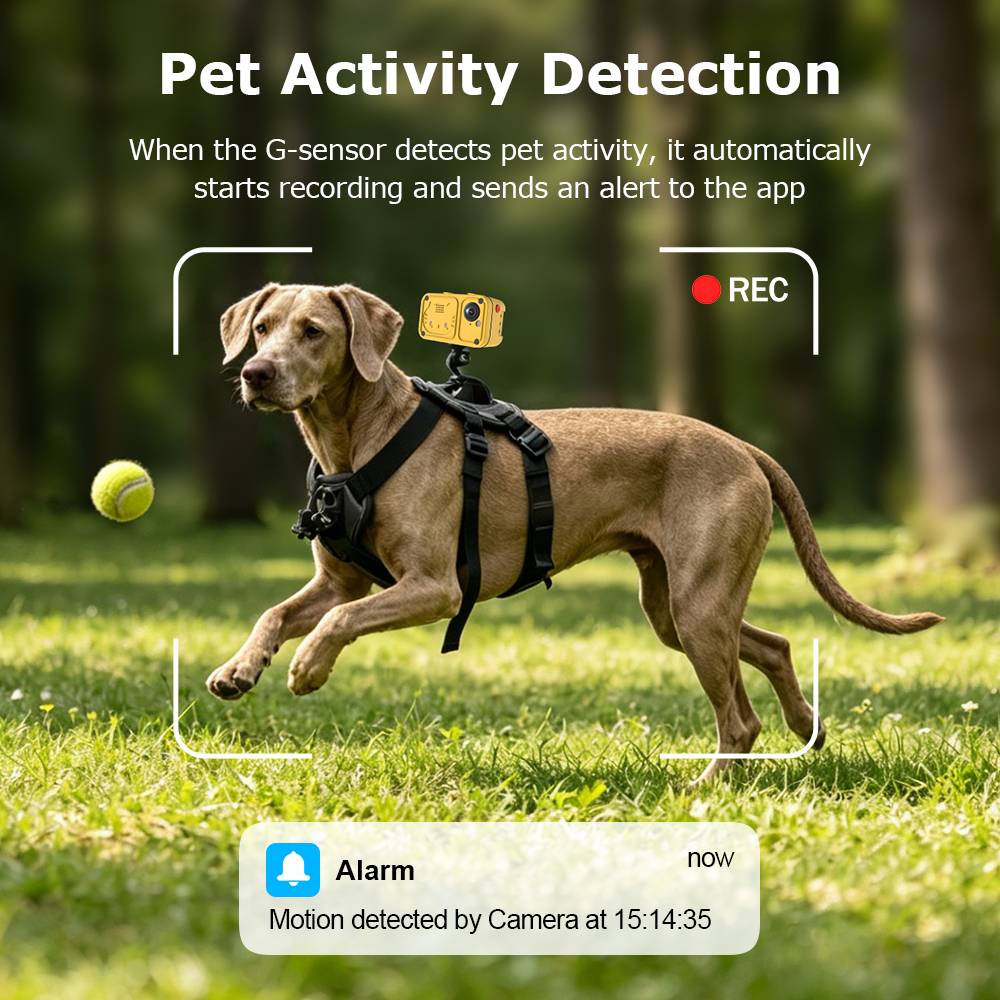 SECTEC Smart Pet GPS Tracker Camera 4G Anti-lost Two-Way Audio Dog Cat Find IP66 Pet Activity Detection Alert Security Camera